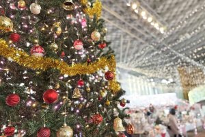 V ~̃C~l[VW 2024-2025̉摜19