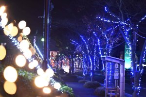 V ~̃C~l[VW 2024-2025̉摜15