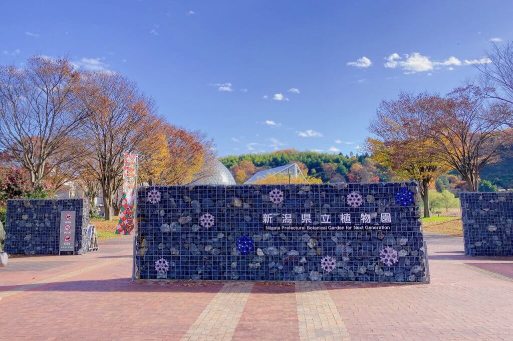 いろとりどりの華やかなクリスマス 新潟県立植物園 クリスマス展 に行ってきました Komachi
