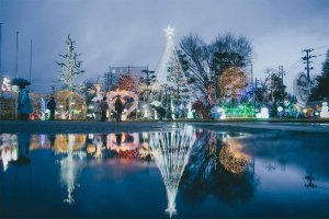 V ~̃C~l[VW 2024-2025̉摜20