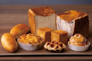 y2022NI[vzṼpEx[J[VX11X܁@̉摜70