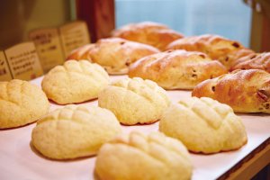 y2022NI[vzṼpEx[J[VX11X܁@̉摜64