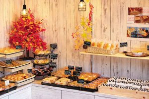 y2022NI[vzṼpEx[J[VX11X܁@̉摜46