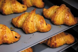 y2022NI[vzṼpEx[J[VX11X܁@̉摜18