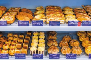 y2022NI[vzṼpEx[J[VX11X܁@̉摜2