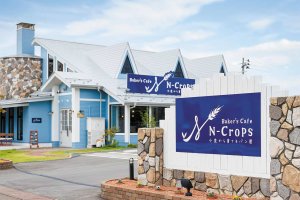 y2022NI[vzṼpEx[J[VX11X܁@̉摜14