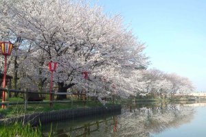 2025bVEzGA lC̍EԌX|bg ԁ 41Ỉ摜17