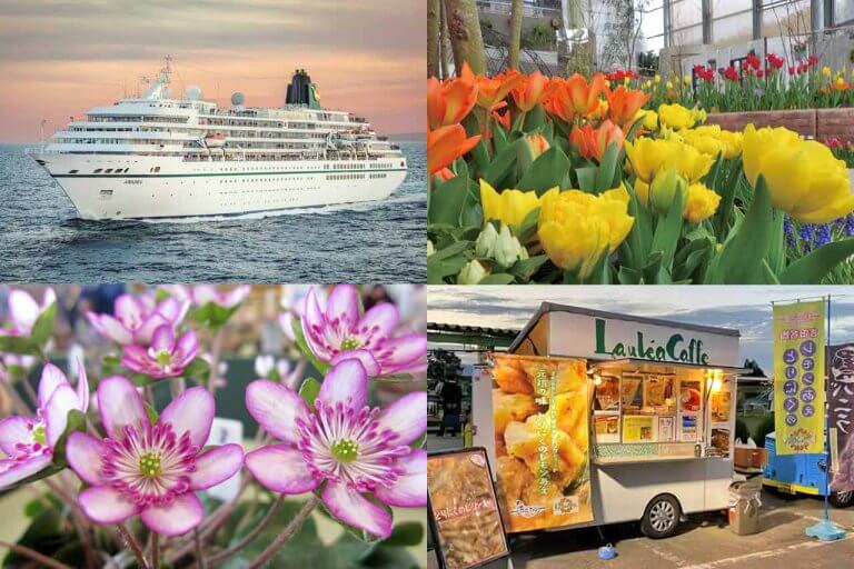 T̐VCxgy3/11(y)E12()JÁz