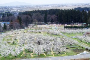 ���T���̐V���C�x���g���y3/18(�y)�E19(��)�J�Áz�̉摜5