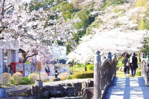 2025bVEzGA lC̍EԌX|bg ԁ 41Ỉ摜39