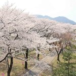 2025�b�V���̂��Ԍ��E���X�|�b�g50�I�@�������C�x���g�����̉摜48