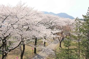 2025bV̂ԌEX|bg50I@Cxg̉摜48