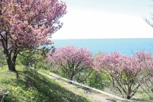 2025bVEzGA lC̍EԌX|bg ԁ 41Ỉ摜29