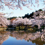 2025�b�V���̂��Ԍ��E���X�|�b�g50�I�@�������C�x���g�����̃��C���摜