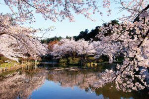 2025bV̂ԌEX|bg50I@Cxg̃C摜