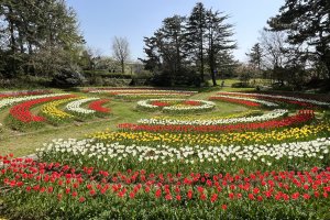 2025�b�V���̃`���[���b�v�� ����6�I�@�����E�C�x���g���̉摜5