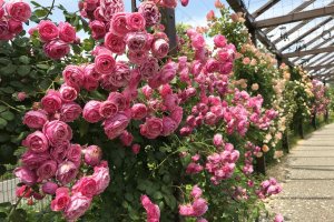 2025bṼo6I Cxg̉摜3