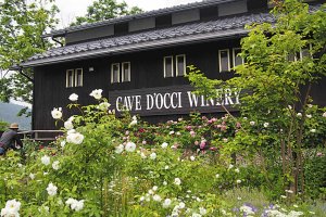 2025bṼo6I Cxg̉摜4