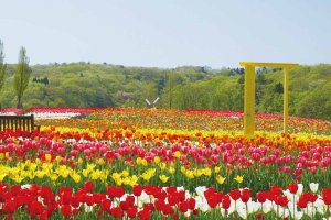 2024bGWɂ߁I V̉ԃX|bg12Ỉ摜3