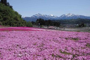 2024bGWɂ߁I V̉ԃX|bg12Ỉ摜11