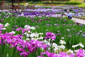 2025bVEẲԂ߂ i8Ỉ摜12