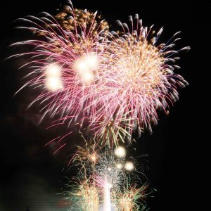 y2023zV̉ԉΑ53I ǂ̉摜8