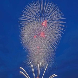 y2023zV̉ԉΑ53I ǂ̉摜9