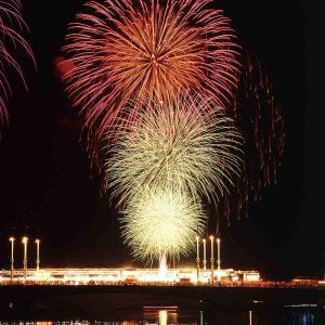 y2023zV̉ԉΑ53I ǂ̉摜12