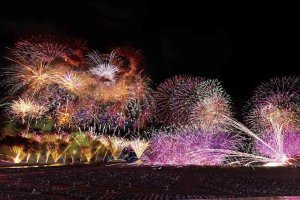 y2023zV̉ԉΑ53I ǂ̉摜6