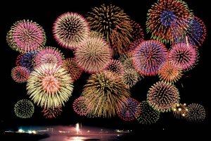 y2023zV̉ԉΑ53I ǂ̉摜13