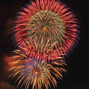 y2023zV̉ԉΑ53I ǂ̉摜15