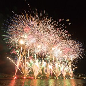 y2023zV̉ԉΑ53I ǂ̉摜16