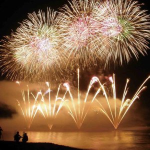 y2023zV̉ԉΑ53I ǂ̉摜18