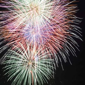 y2023zV̉ԉΑ53I ǂ̉摜23