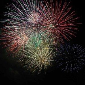 y2023zV̉ԉΑ53I ǂ̉摜25