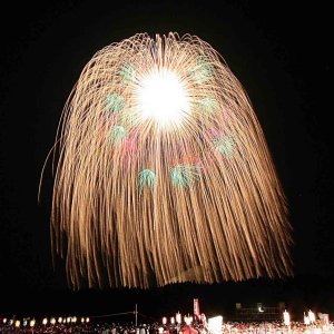 y2023zV̉ԉΑ53I ǂ̉摜35