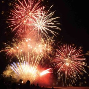 y2023zV̉ԉΑ53I ǂ̉摜36