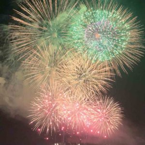 y2023zV̉ԉΑ53I ǂ̉摜37