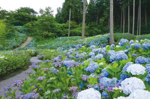 2025bVEẲԂ߂ i8Ỉ摜7