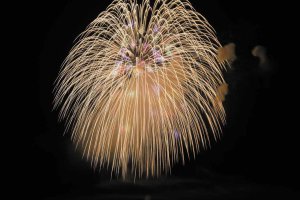 2025�b�V���̉ԉΑ��50�I�@�J�Ó��������ǂ�����̉摜37