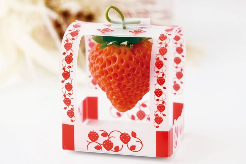 LED栽培のイチゴが一年中楽しめる！パティスリー併設の植物工場