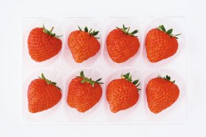 その他 Ichigo その他 Ichigo 31cm Anime Bleach Kurosaki Ichigo Action Figure