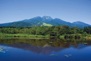 x͖KꂽIVEĂ̐ioX|bg15Ỉ摜20