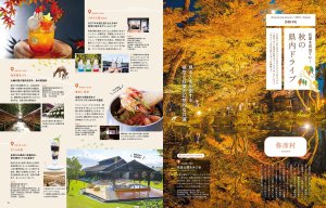 {925IKomachiŐV͏ĤłWł̉摜5