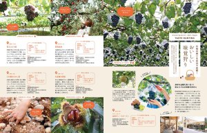 {925IKomachiŐV͏ĤłWł̉摜8