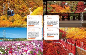 {925IKomachiŐV͏ĤłWł̉摜4