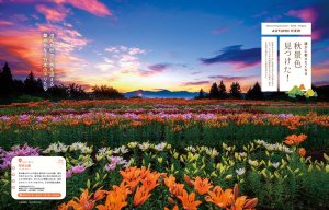 {925IKomachiŐV͏ĤłWł̉摜3