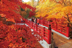 {925IKomachiŐV͏ĤłWł̃C摜