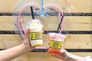 �V���Ŋ؍��C�����I�}�����̊؍��O�������X5�I�̉摜4