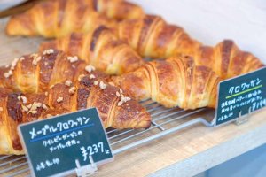 �����ӂ�邨�X���ڔ������I�x���̂��ł����́A�����������y�������l�܂����L�h�ւ̉摜5